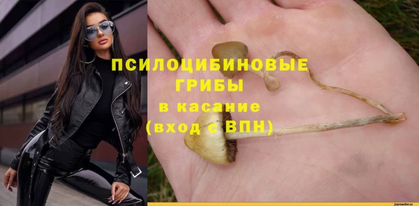 альфа пвп Усинск