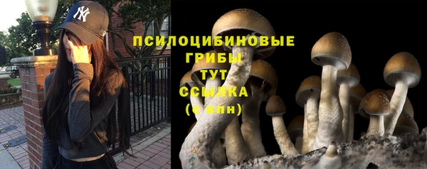 альфа пвп Усинск