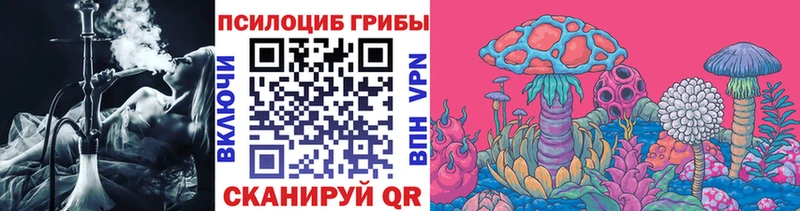 Псилоцибиновые грибы мицелий  Альметьевск 