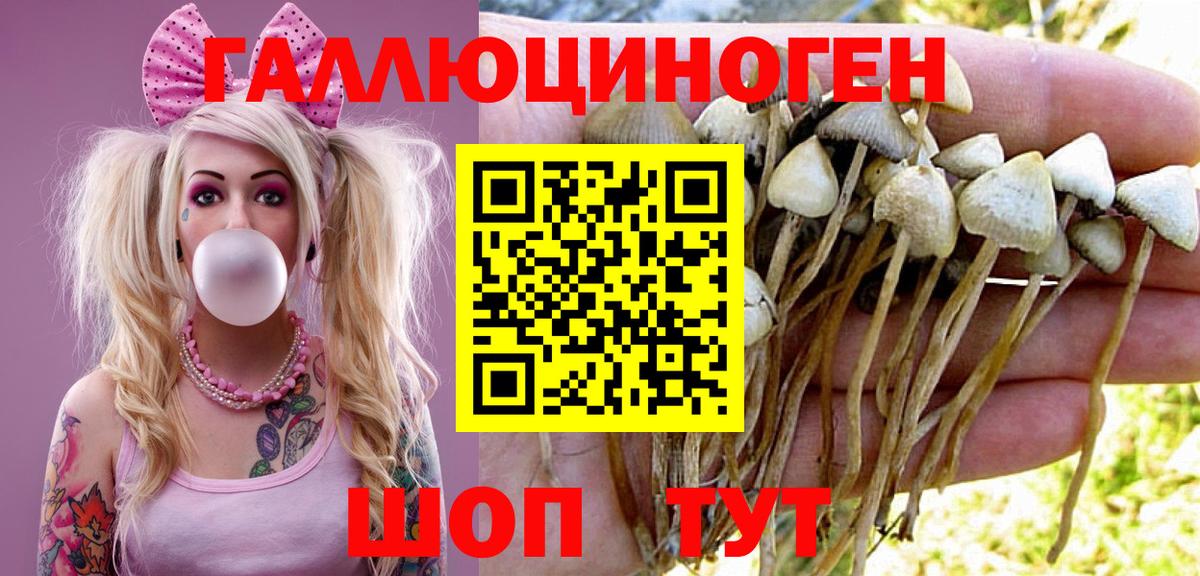Галлюциногенные грибы Cubensis  Вход с VPN  Альметьевск 