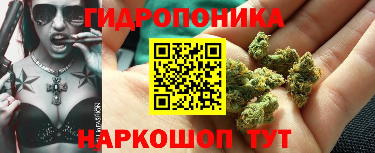 Шишки марихуана конопля Альметьевск